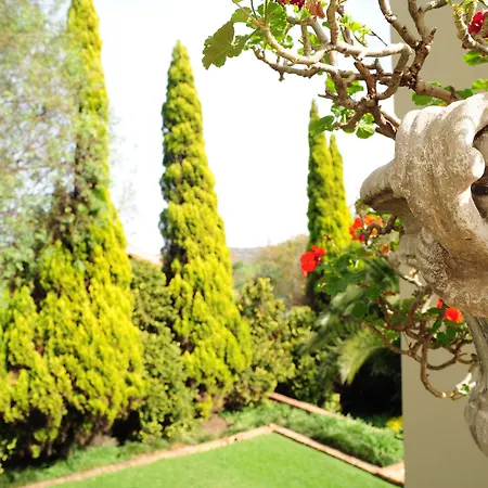 Villa Lugano Guesthouse-2